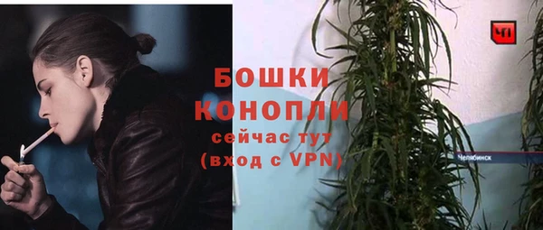 прущие грибы Семикаракорск