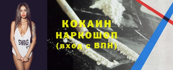 прущие грибы Семикаракорск