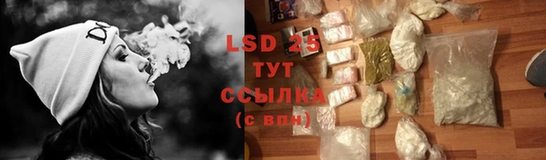 прущие грибы Семикаракорск