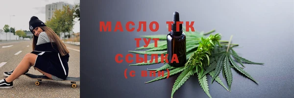 молекула духа Снежногорск