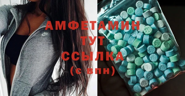 молекула духа Семилуки