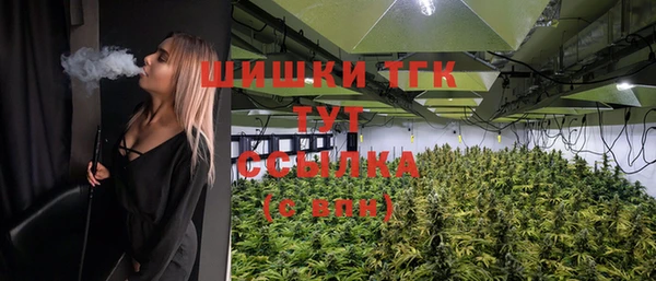 молекула духа Семилуки