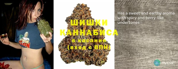 молекула духа Семилуки