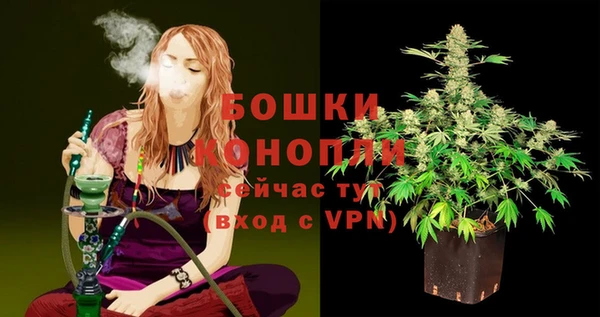 молекула духа Семилуки